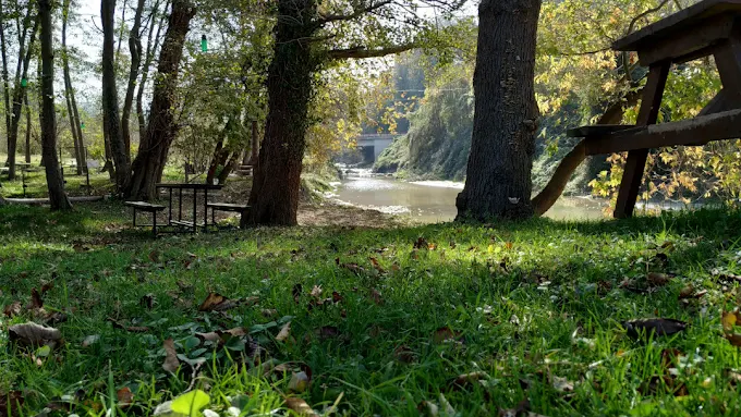 Akçakoca Deniz Camp fotoğraf 1
